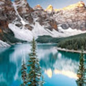 Meet your Posher, Shane